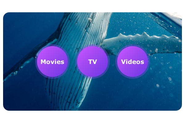 Play your video on all sorts of mobile and portable devices